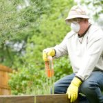 Outdoor Pest Control: Managing Yards and Gardens